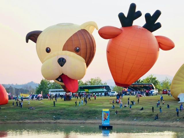 สุดยอดเทศกาลบอลลูน&มหกรรมคอนเสิร์ตสุดโรแมนติก