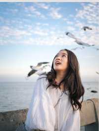 One day trip บางปู | เดือนสุดท้ายก่อนนกนางนวลจะไป