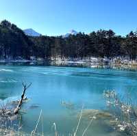 Winter frozen of Goshiki-numa ❄️ 