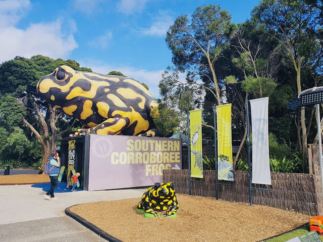 Melbourne Zoo