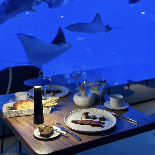 新加坡夢幻海底餐廳「Ocean Restaurant 」🐠