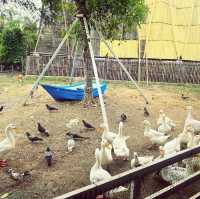 Moori Moori 🐮 Play Farm