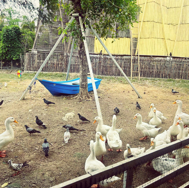 Moori Moori 🐮 Play Farm