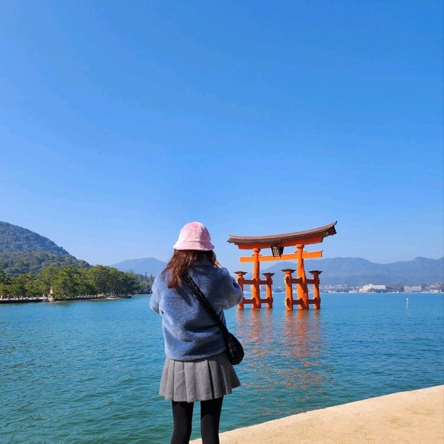 일본 구석구석 여행하기! 일본 소도시여행, 미야지마여행