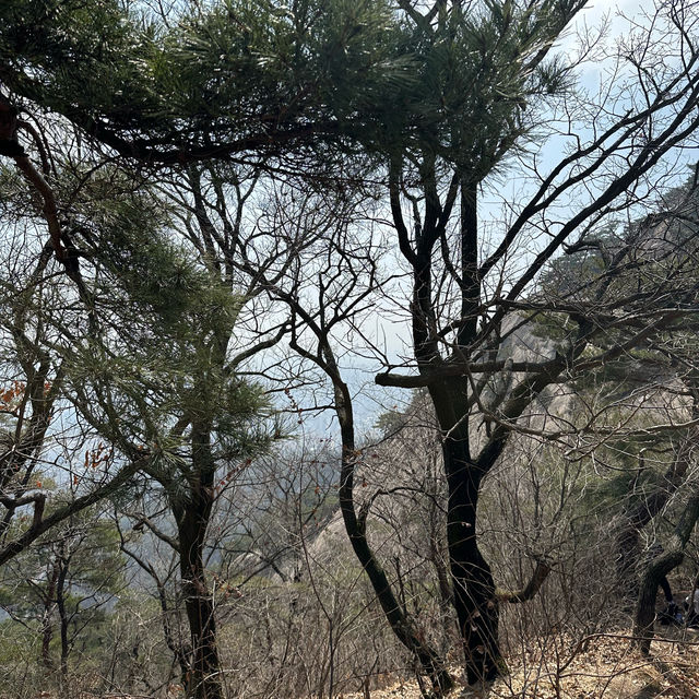 초보자도 가능한 서울 인왕산 등산하기
