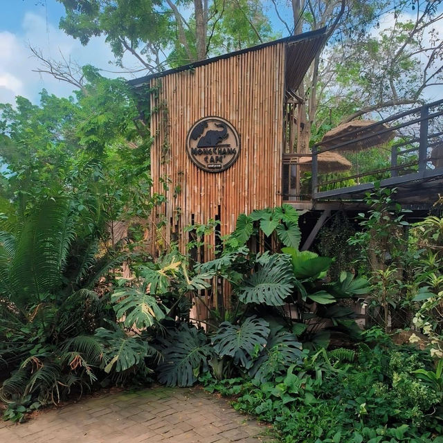 มองช้างคาเฟ่ Mongchangcafe