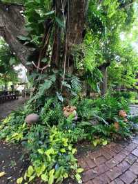 ไปดื่มด่ำบรรยากาศสดชื่น @ในสวนคาเฟ่