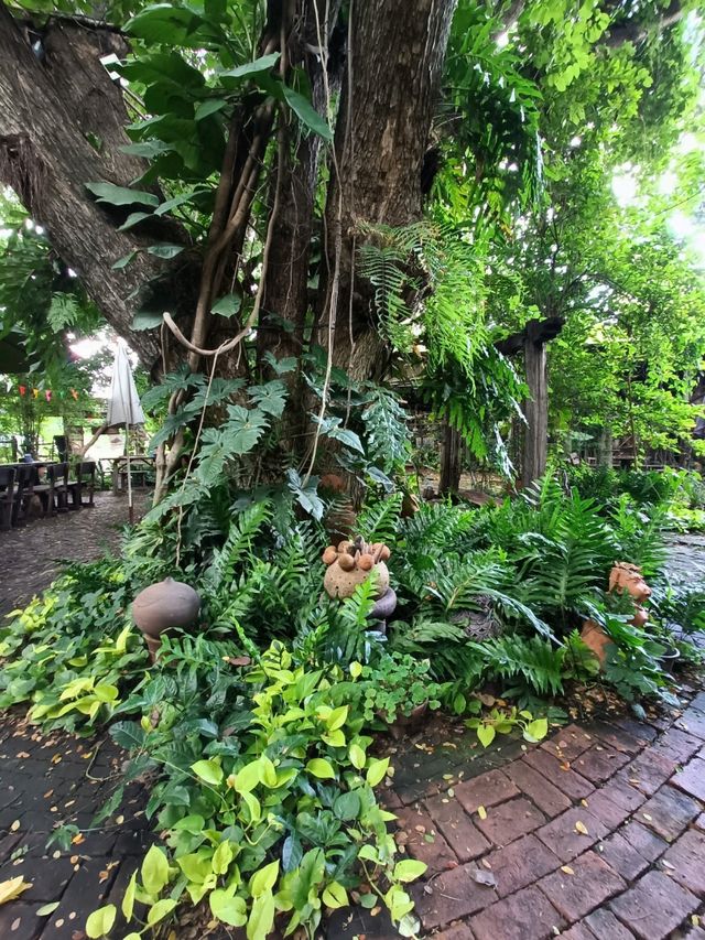 ไปดื่มด่ำบรรยากาศสดชื่น @ในสวนคาเฟ่