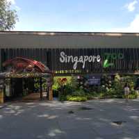 #WinHKFlight A day at Singapore Zoo