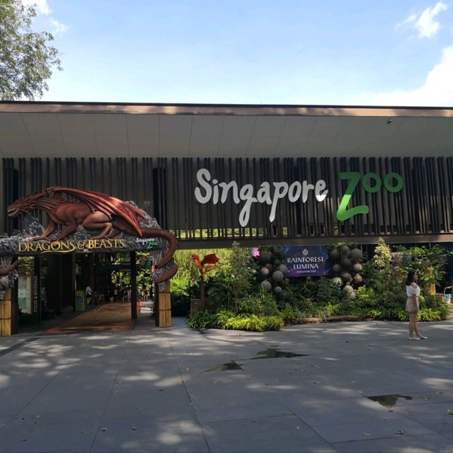 #WinHKFlight A day at Singapore Zoo