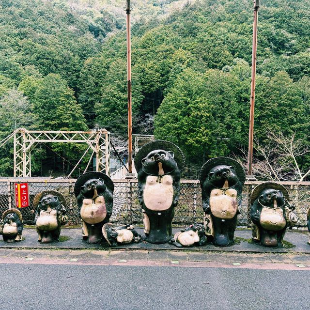 ⛩️🌸京都三千院🍁🚞嵐山小火車