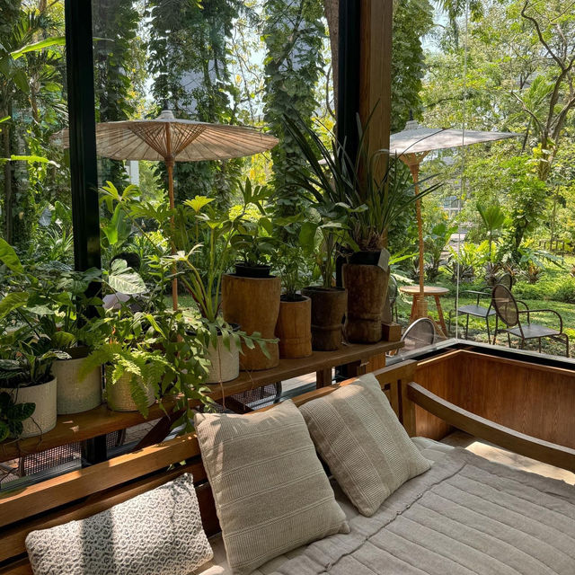 MiVana Organic Forest Coffee