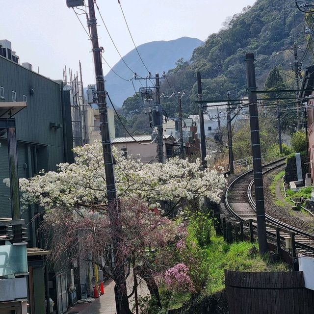 도쿄가 지겨우시면... 여유있는 하코네로 ~