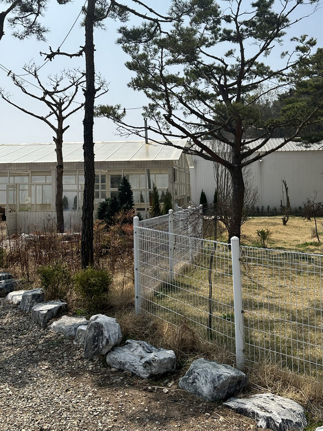 🍀 푸릇푸릇한 풀밭 정원에서 뛰어놀며 🏝️ 봄휴양 분위기를 만끽해보아요!🍀