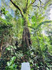 Southern Ridges 