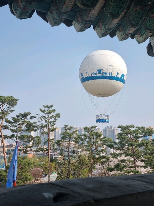 따뜻한 봄이 되면 드디어 열기구를!!