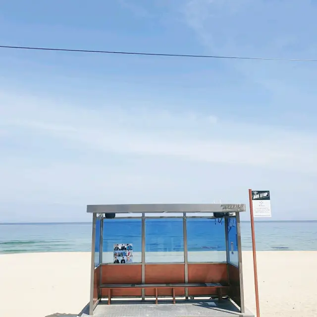 주문진 해수욕장 티켓 할인, 운영 시간, 후기 [2025년] | Trip.com