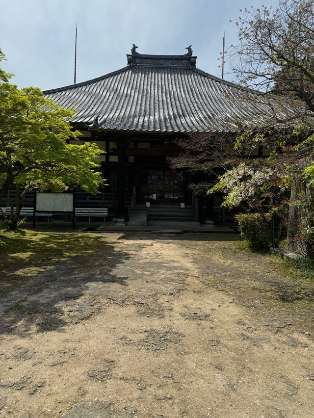 【山口観光】城下町長府の季節を感じられる歴史的寺院