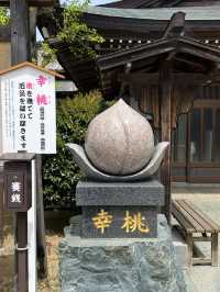 【福岡観光】なんじゃもんじゃの花が咲き乱れる神社