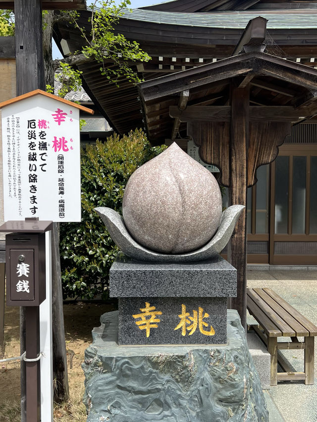 【福岡観光】なんじゃもんじゃの花が咲き乱れる神社