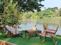 คาเฟ่ริมน้ำในรีสอร์ท The Antique Riverside 