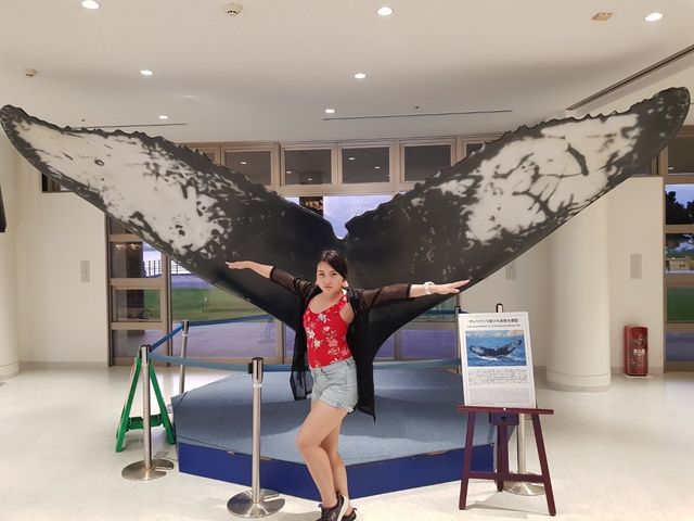🌊ท่องโลกใต้ทะเลที่ Okinawa Churaumi Aquarium