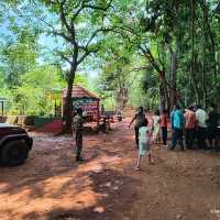 dudhsagar waterfall_ milk oceans 