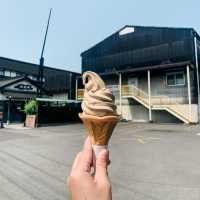 【香川｜小豆島】醤油作りの世界を見学して、醤油スイーツを楽しむ！
