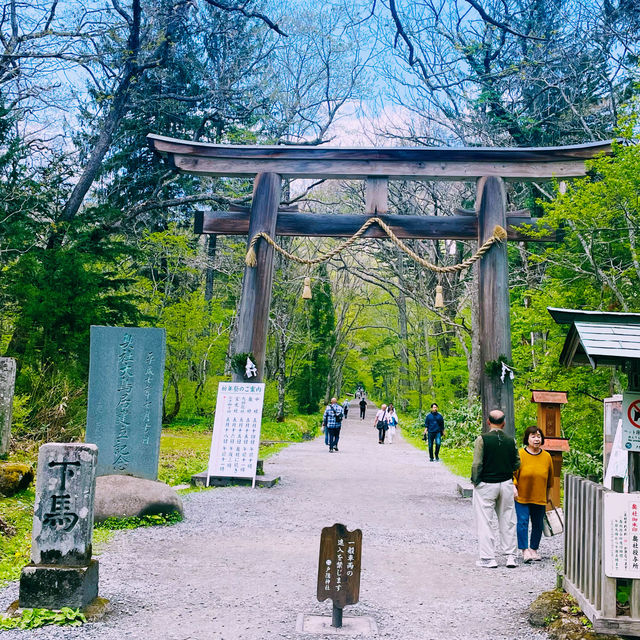 【長野県/大鳥居をくぐり⛩️美しい新緑の中を歩いて戸隠神社奥社へ】