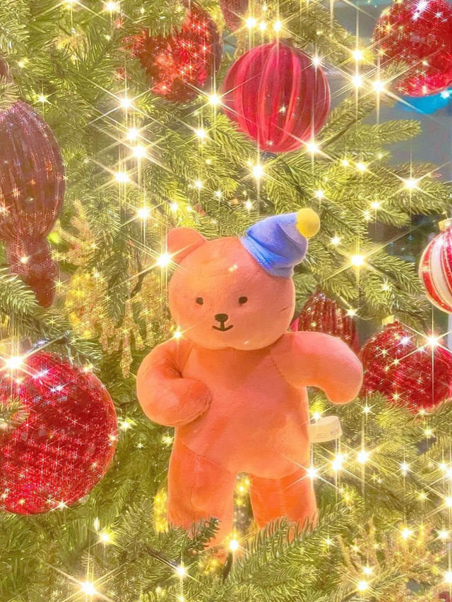 💗경주 크리스마스에 꼭 가봐야 할 곳💗