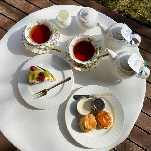 【佐賀カフェ】こちらのスコーンが秀逸