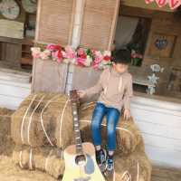 苗栗銅鑼 莫內的秘密花園 童趣鄉村
