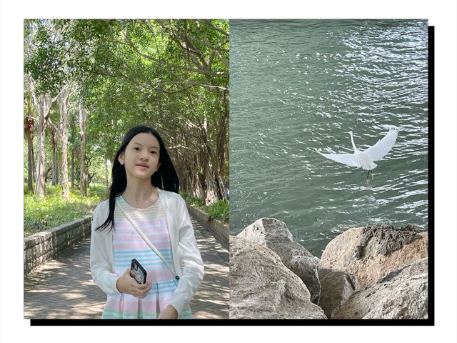 🌟 東涌海濱長廊：海風拂面，美景盡收眼底 🌊✨
