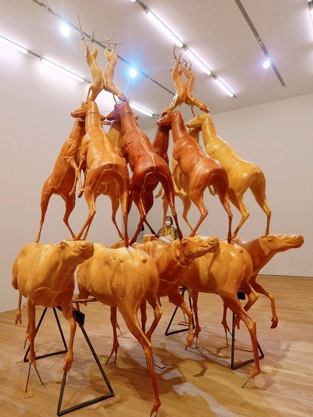 大館當代美術館的「布魯斯・瑙曼」（Bruce Nauman）
