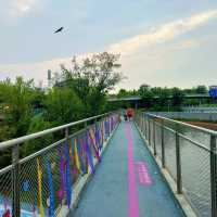 「海心沙亞運公園：自然綠洲」