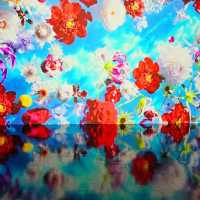 蜷川實花瞬間的永恆沉浸式藝術展