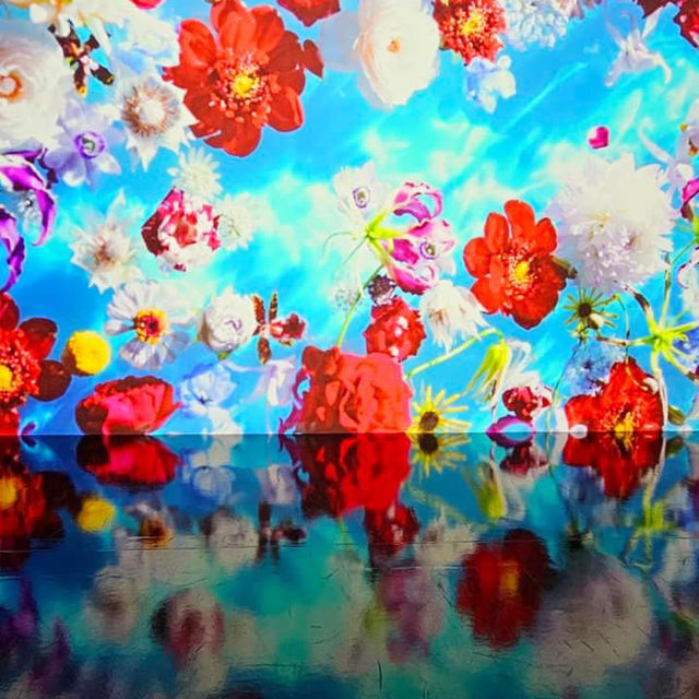 蜷川實花瞬間的永恆沉浸式藝術展