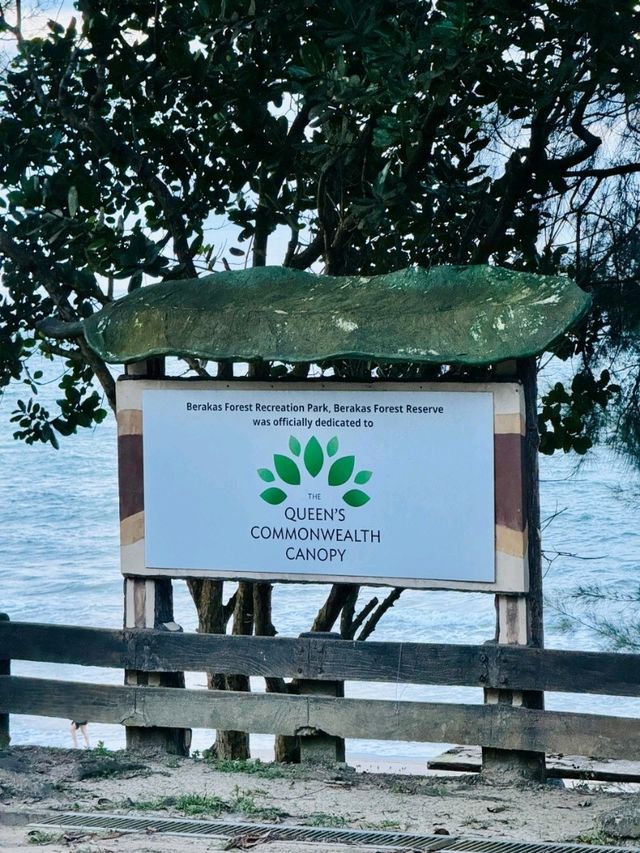 Berakas Beach