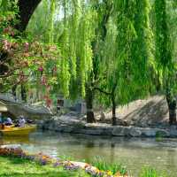 【東湖公園】觀賞野生水鴨，春天好去處