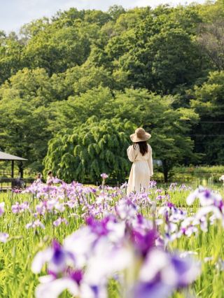 [Tokyo/Higashimurayama City] Hiking from an easily accessible station🥾