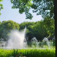 Miro Park：花園中的自然之美