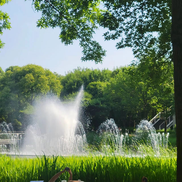 Miro Park：花園中的自然之美