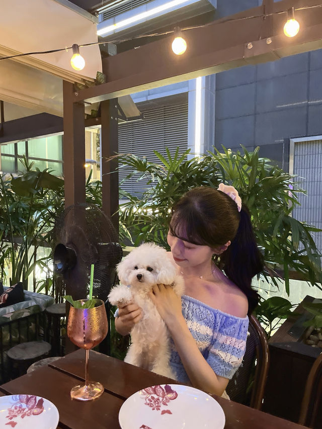 灣仔🐶chill爆寵物友善泰國菜餐廳