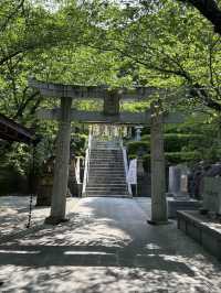 【福岡神社】花手水が美しい北九州の素敵な神社