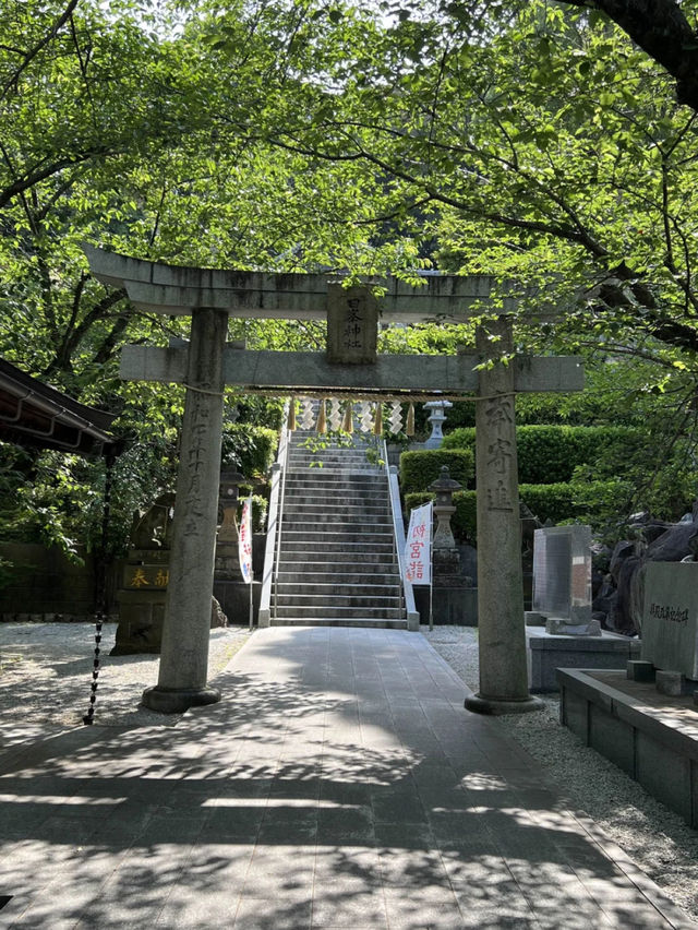 【福岡神社】花手水が美しい北九州の素敵な神社