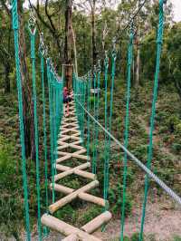 Treetops Adventure Yeodene Park