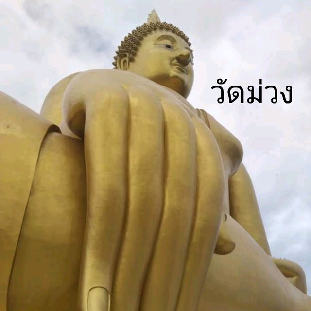 สักการะพระใหญ่ วัดม่วง