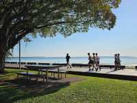 Cairns Jogging Track