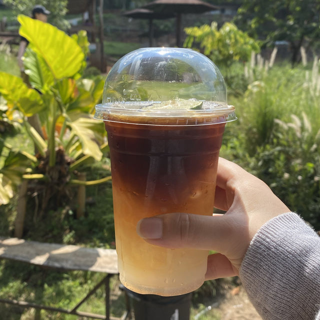 チェンマイでのおすすめ🦣癒し系カフェ🦣