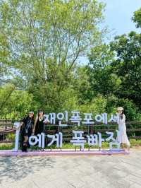 【韓国】絶景を求めて Jaein Falls へ🚗 !!